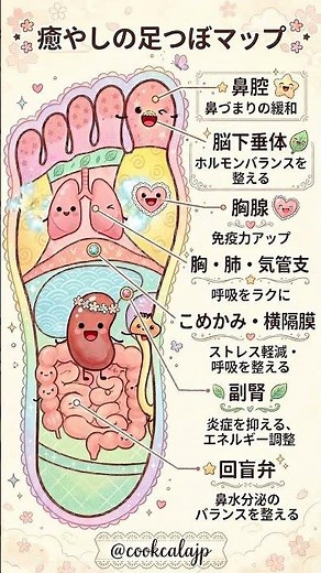 毎日がんばるあなたへ。呼吸と心を整える、癒やしの足つぼマップ🦶💖 #セルフケア #健康 #健康 #健康習慣 #体質改善 #保存版 #豆知識 #体のサイン #図解 #自律神経を整える #美容