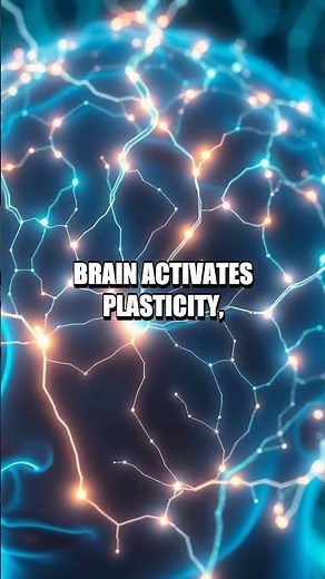Neuroplasticity in Action: The Brain’s Rapid Recovery After Impact