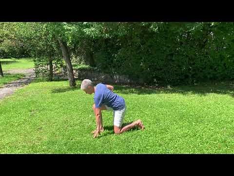 Grundpositionen - Kinästhetik