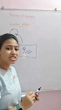 Founder Effect | Evolution | NEET/Class 12 Biology | #tanuja_biostudies