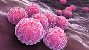 Gainesville ranks high among cities with top STD rates in new CDC data