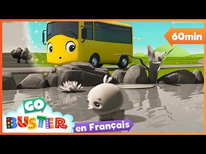 Buster et le Monde Des Couleurs | Go Buster en Français | Chansons et Dessins Animés Pour Enfants