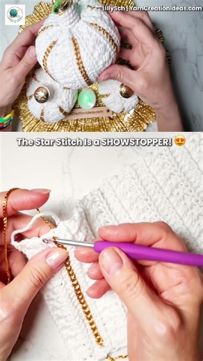 ✨ Easy Star Stitch Crochet Tutorial for Beginners | Beautiful Textured Stitch 🧶 #crochet #shorts