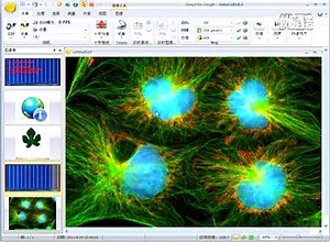 Image-Pro Insight工作空间布局设置