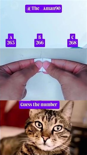 Guess The Number