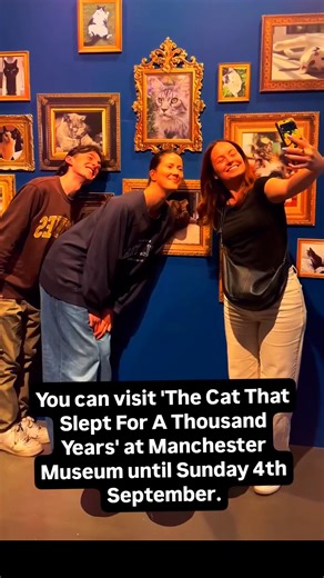 10K views · 148 reactions | Yes, that really is a gigantic, sleeping...