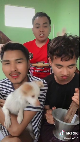 Caring for Your Fluffy Chihuahua Puppy