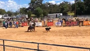 9.7K views · 45 reactions | Just watched - 6.8 A Night to Remember...