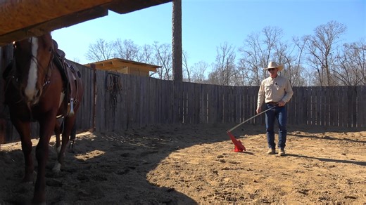 ES20 Snaffle Bit Basics II with Luna Day 11 #b1 #beone #es20 #RespectTheCode #fuelforlegendaryhorses #6666equinesupplements | B1 Horsemanship