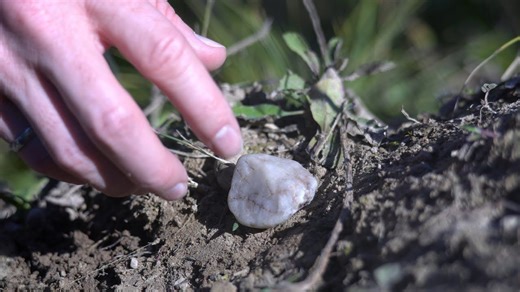 如何从头开始制作 CPU？