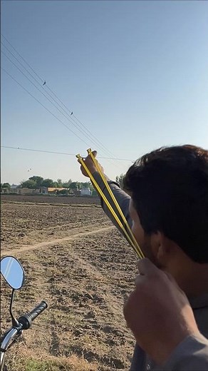 hunting birds video with slingshot