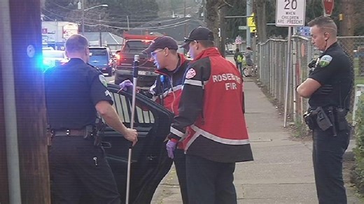 Dog bites police officer who shocked master with Taser