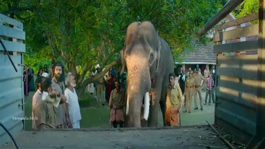 Vavuniya HD Film Highlights