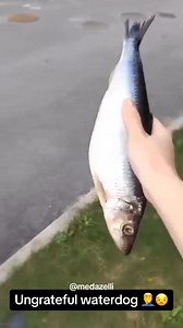 Normal day in my life 💔😪 daily vlog part 30 | Medazelli Automatic