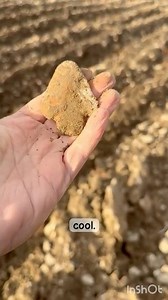 Great Find! #arrowhead #arrowheadhunting #nativeamerican #artifacts #artifacthunting #rockhounding