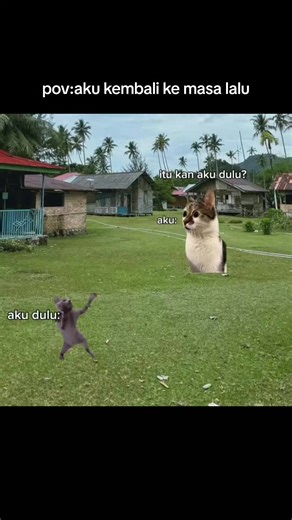 Meme Kucing: Kembali ke Masa Lalu yang Lucu