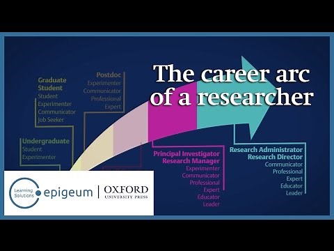 The career arc of a researcher