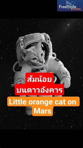 ส้มน้อยบนดาวอังคาร (Little orange cat on Mars)