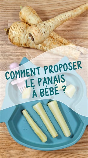 𝙳𝙼𝙴 𝙱𝚎𝚋𝚎🧑‍🍳 | 𝑹𝒆𝒄𝒆𝒕𝒕𝒆𝒔 𝒆𝒕 𝑴𝒆𝒏𝒖 𝒑𝒐𝒖𝒓 𝒃𝒆́𝒃𝒆́ 🥕 on Instagram: "🥕 COMMENT PROPOSER LE PANAIS À BÉBÉ ? 🥕 – dès 6 mois Le panais, ce légume racine un peu oublié, est pourtant un vrai trésor pour la diversification alimentaire. Sa saveur douce et légèrement sucrée séduit vite les bébés curieux, tandis que sa texture fondante après cuisson vapeur est parfaite pour les débuts en DME. Bébé commence la DME ? Voici comment lui proposer le panais selon son âge 👇 ➡️ Dès 6 mo