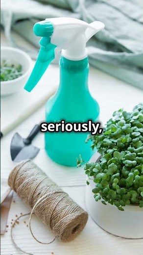 Surviving Mars Essential Tips for Space