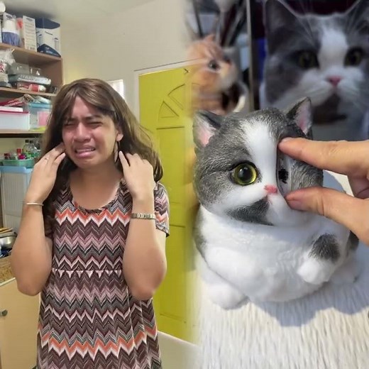 🤣👌👌👌2026 pov Must-Watch Crazy Clips Compilation #humor #fypシ #pov #fyp #foryou 😍😜