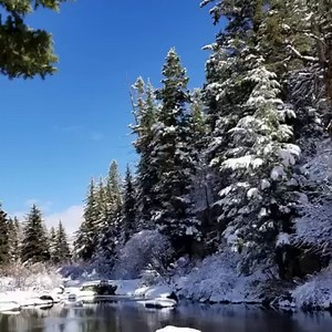 Photos of Fun Valley Family Resort submitted by Karla R. Thank you, Karla! | Fun Valley Family Resort