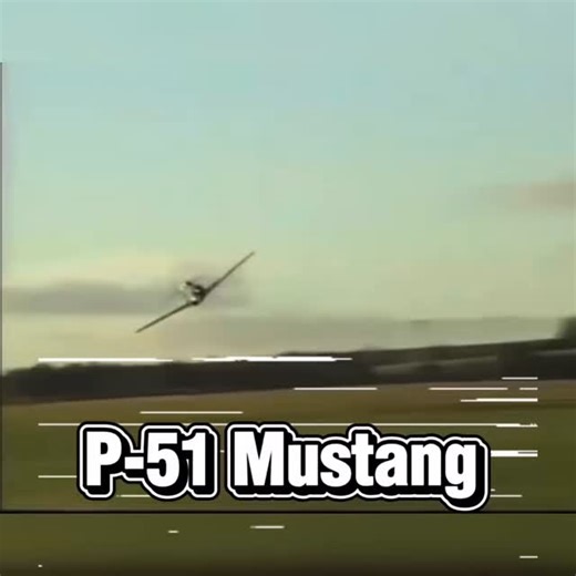 RedBisa on Instagram: "From series P-51 Mustang and History of WWII Aircrafts #militaryaircraft #northamericanp51mustang #wwiiaircraft #wwiihistory"