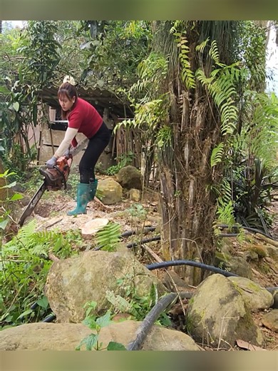 Transporting Timber Safely in Agricultural Vehicles