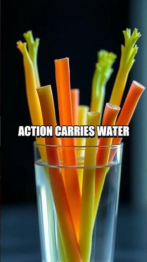 Everyday Lab: Surprising Home Science Demos