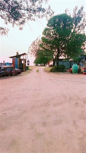 Creative Garden Art Ideas for Families