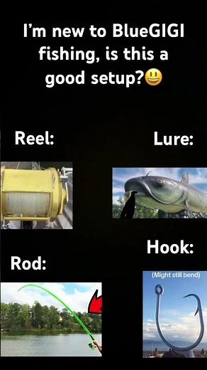 Rate My BlueGIGI Setup 1-10🎣🐟 #bluegigi #fishing #florida #lures
