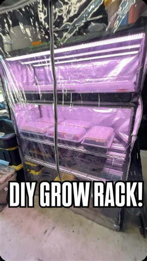 Destin Noak on Instagram: "DIY Indoor Growlight Setup!"