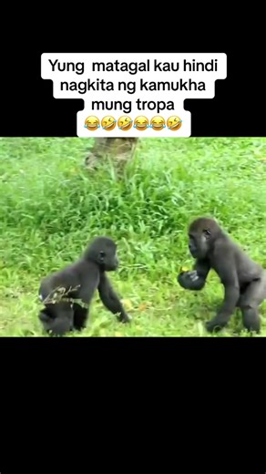 Long time no see..!!! #edwinbestfriend1 #edwinbestfriend #passion #flex