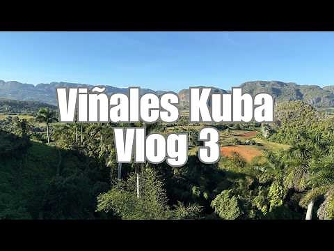Cuba Vlog 2025 #3 - Viñales, Cuba 🇨🇺 Cave, murals & dream beach | ilovekuba