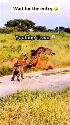 YouTube Algorithm Hacker 😲1000 Subs & 4000 W.T In 1 Day 😎"#viral #trending #shorts