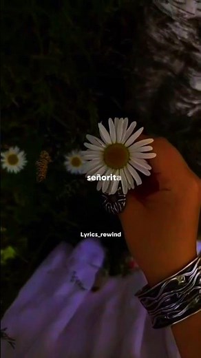 Señorita (I love it when you call me señorita) - Shawn Mendes & Camila Cabello | lyrics | aesthetic