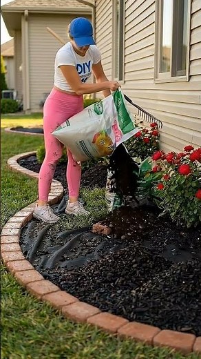 How to Build a Beautiful Curved Flower Bed! 🧱🌸 | DIY Landscaping Makeover