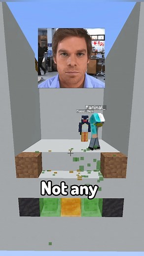 Minecraft DISGUSTING Color Match #minecraft #disgusting #minecraftbuilds | Collywabbles