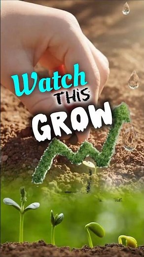 Realistic 3D Seed Growing Animation | Seed Planting to Sprout | Nature Growth Cinematic #3danimation