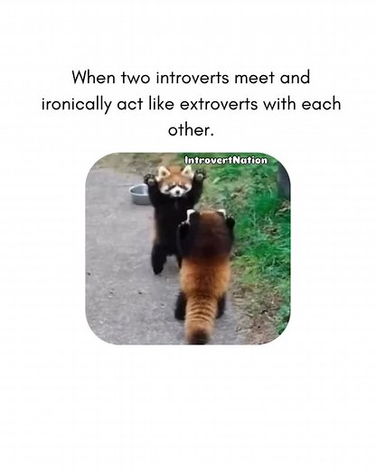 11K views · 1.7K reactions | Introvert Nation on Reels | Facebook