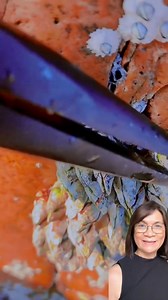 Let’s harvest and cook #barnacles #Informative #delicacies #fblifestyles | Wylynda Ilagan