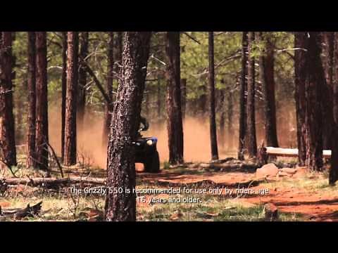 Grizzly Ultramatic® Drive System