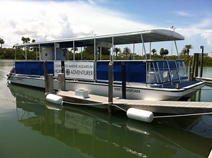 See Winter the Dolphin by Water Ferry