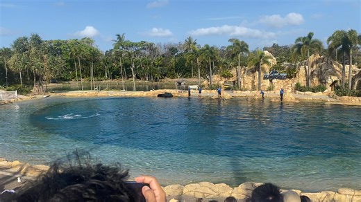 Steven Beach on Reels | Facebook