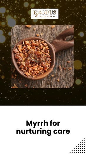 Ancient ingredients, timeless care. Exodus brings tradition into your modern routine. 💡 Learn more → https://exodusstrong.com #ExodusStrong #BiblicalIngredients #FaithAndWellness #HolisticSupport #MindfulLiving | Exodus Strong