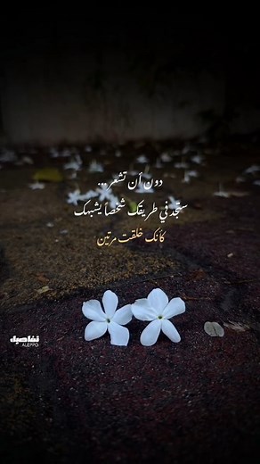 ‎التفاصِيل ✨‎ on Instagram‎: "كأني خلقت مرتين ✨💕 . . . . . . . #تفاصيل #الْجُودِيّ #تصويري📸 #تصميمي #اكسبلور_فولو #حلب_الشهباء #ياسمين #explore #reels #fotografía #followme #fotografheryerde #aleppo #flowers"‎