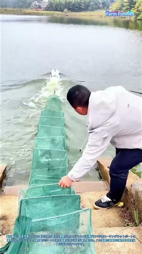 ステンレス製トローリングネットボート：底引き網の展開