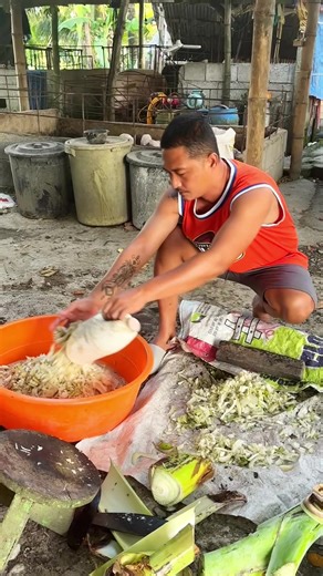 Mga Alternatibong Pagkain para sa mga Alaga