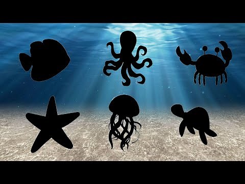 Sea Animals Puzzle for Kids - Ocean Animals Puzzle – Sea Animals Names
