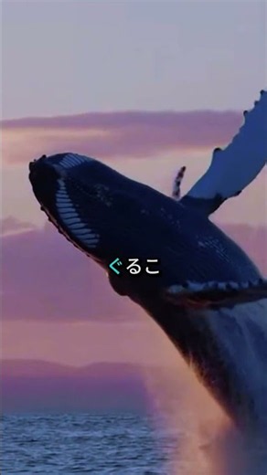 What Happens in the Ocean When a Whale Dies?😱